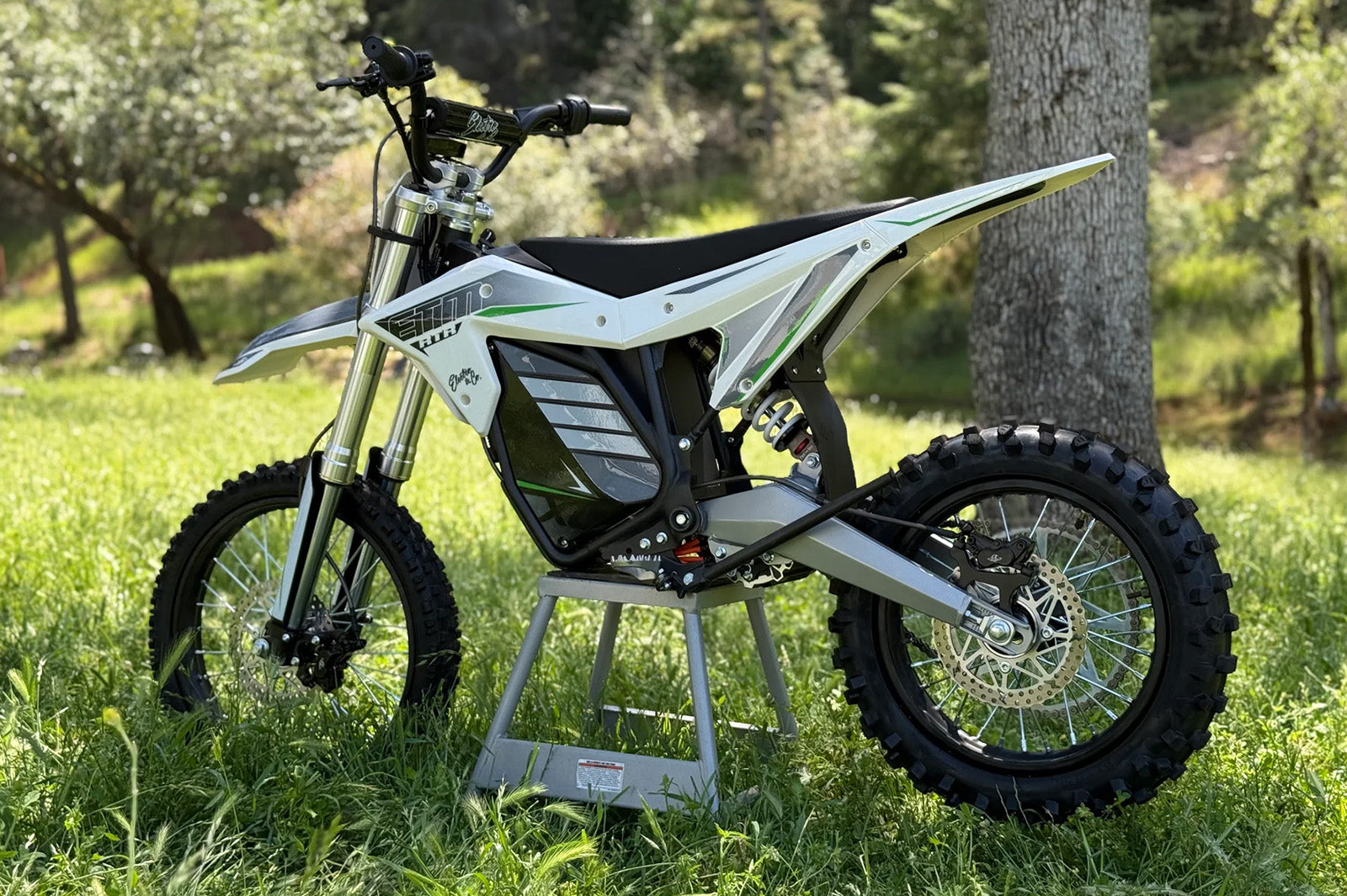 Electro & Co ETM RTR XL electric pit bike image 5