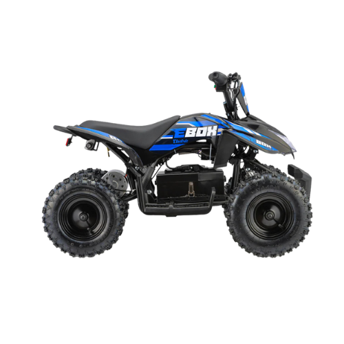 Electric Quad Bikes