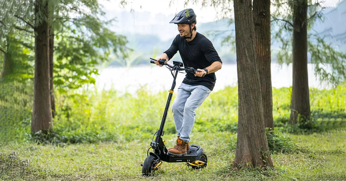 iENYRID Electric Scooters