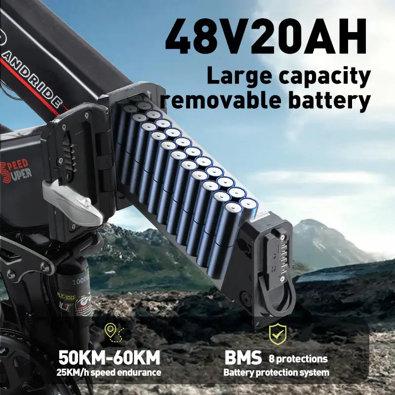 Randride YX20M-2 Folding Electric Bike Randride