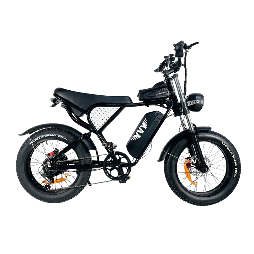 Ridstar Q20 (Now YVY C20) Pro Electric Bike