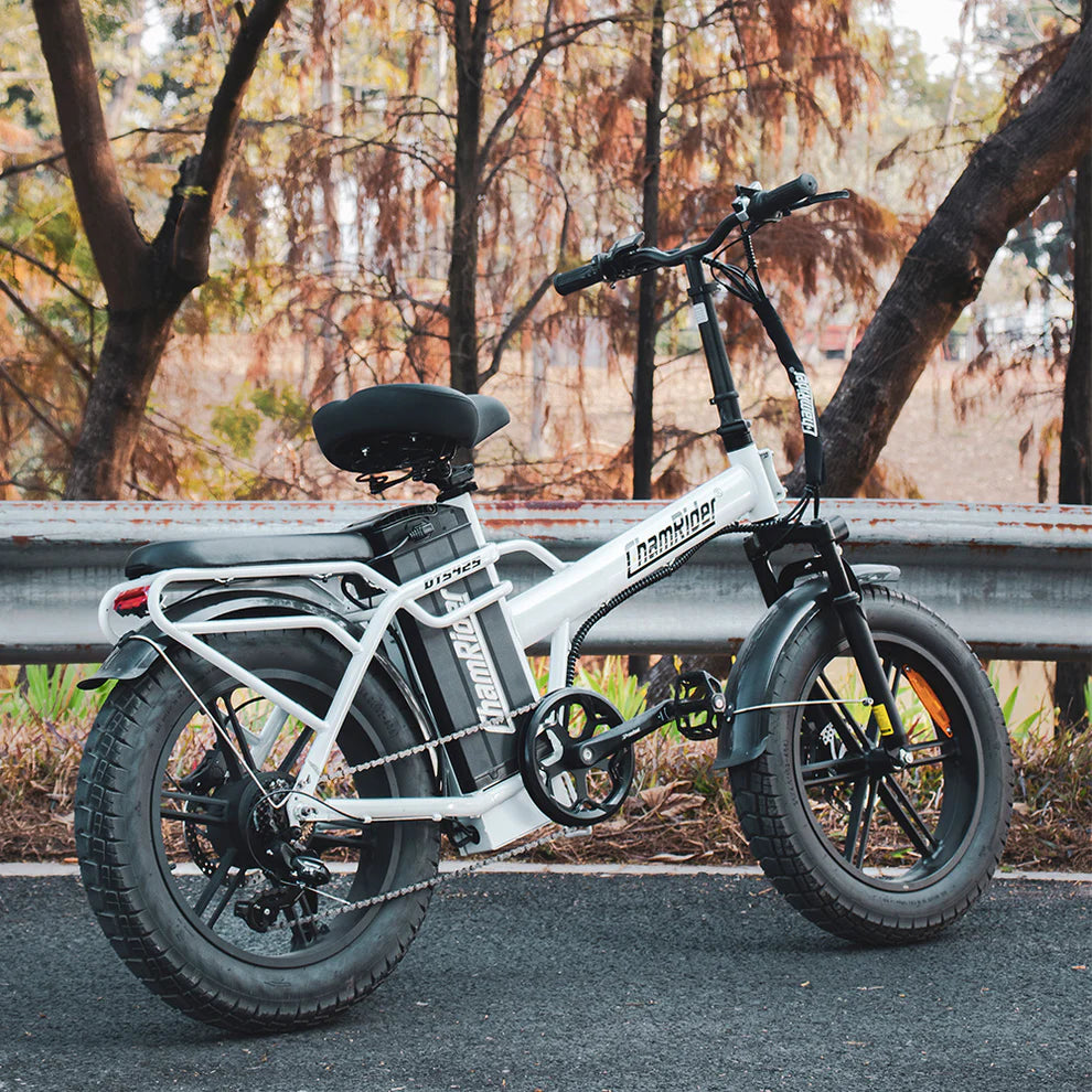 Chamrider DTS425 Electric Bike 12