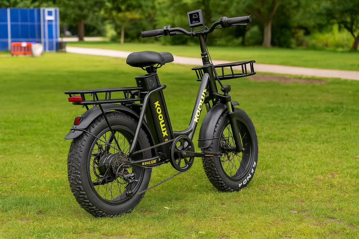 A black KOOLUX electric bike with thick tires, front and rear cargo racks, and a digital display is parked on green grass in a park with trees and a walking path in the background.