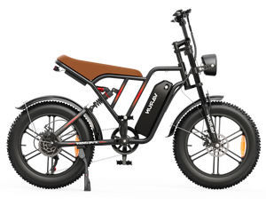 Varun X-Plorer Electric Bike