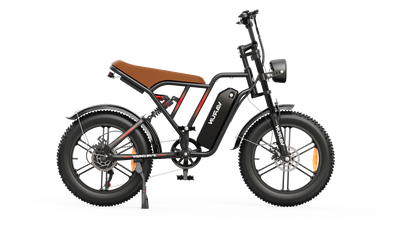 Varun X-Plorer elektrische fiets 250W 48V 13Ah