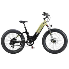 Bicicletta Elettrica Cyrusher Roam