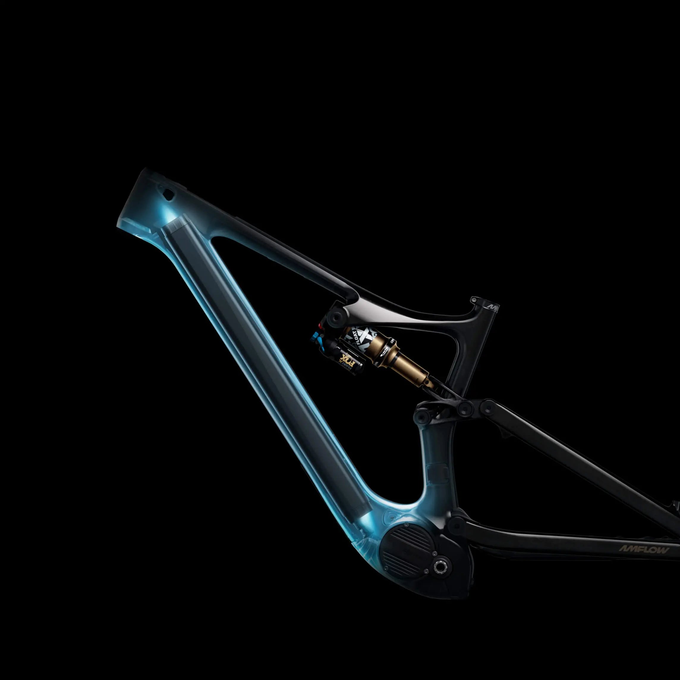 Amflow PL Carbon Electric Bike 5