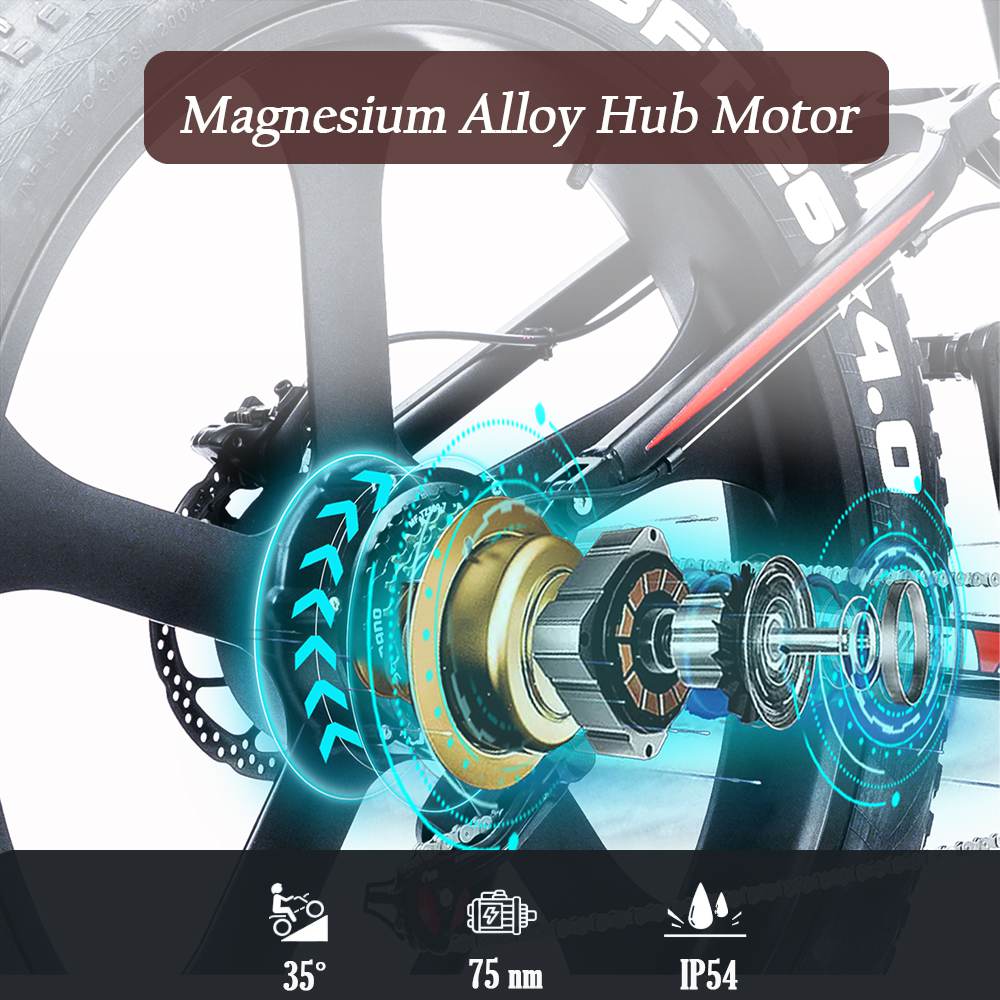 Randride YX90M Electric Bike Randride