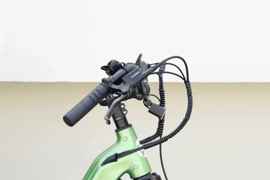 Cyrusher Sprint Electric City Bike 250W 48V 15Ah Cyrusher