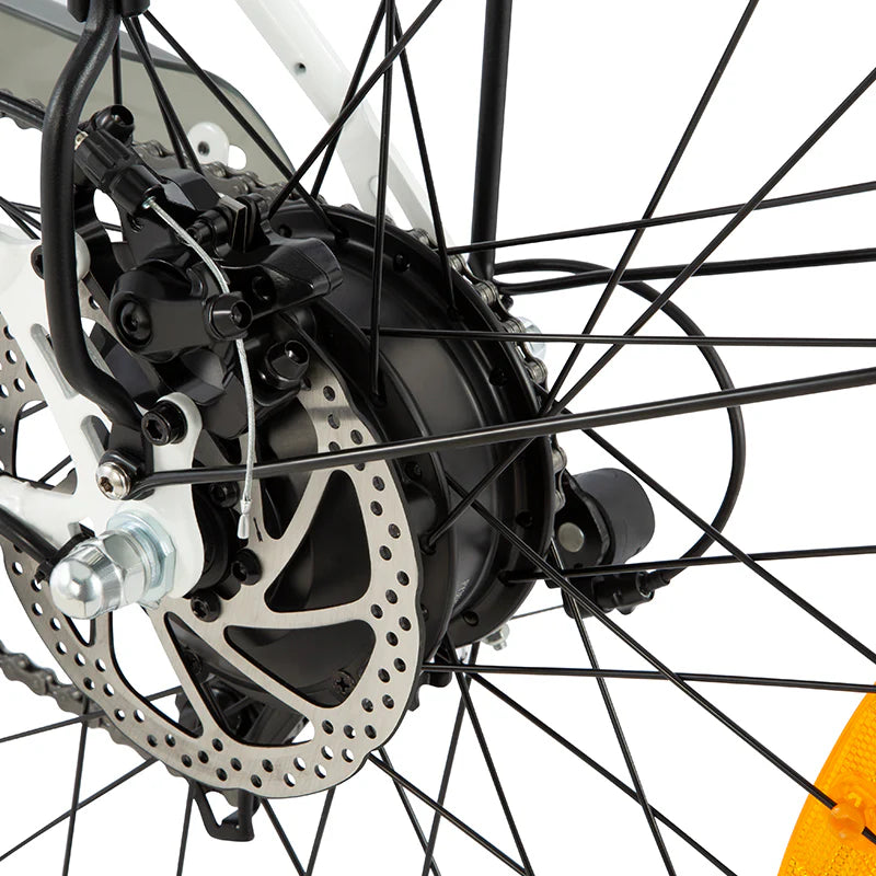 DYU C6 Electric Bike 250W 36V 12.5AH DYU