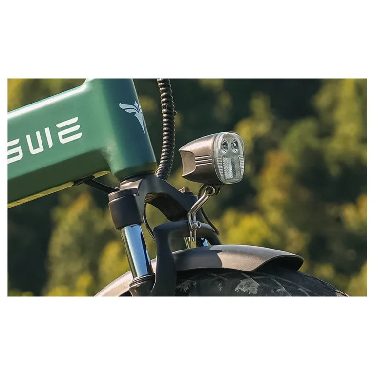 Engwe EP-2 3.0 Boost Electric Bike 250W 48V 13.5AH With Torque Sensor Engwe