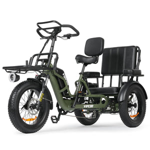 Tricycle Électrique Puissant Vipcoo R1