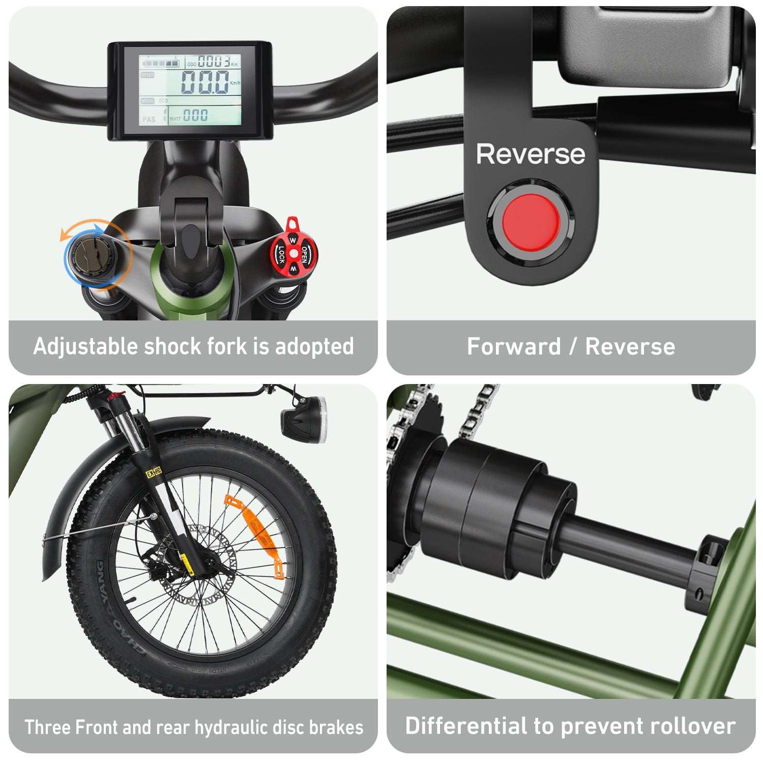 Vipcoo R1 Powerful Electric Tricycle