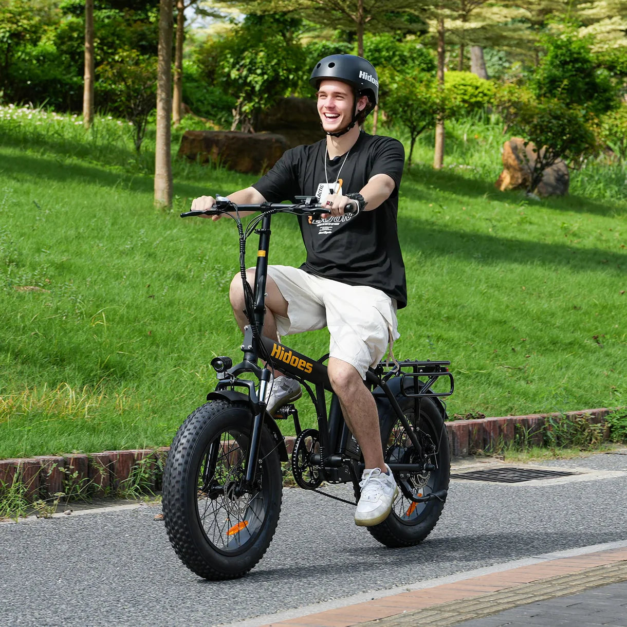 Hidoes F3 Electric Bike 250W 48V 13Ah Hidoes