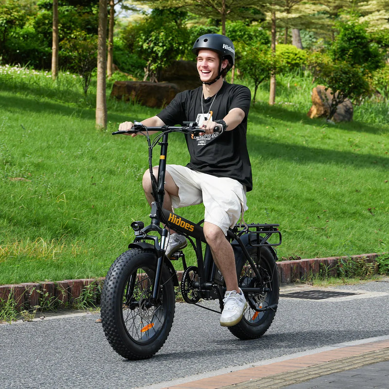 Hidoes F3 Electric Bike 250W 48V 13Ah Hidoes