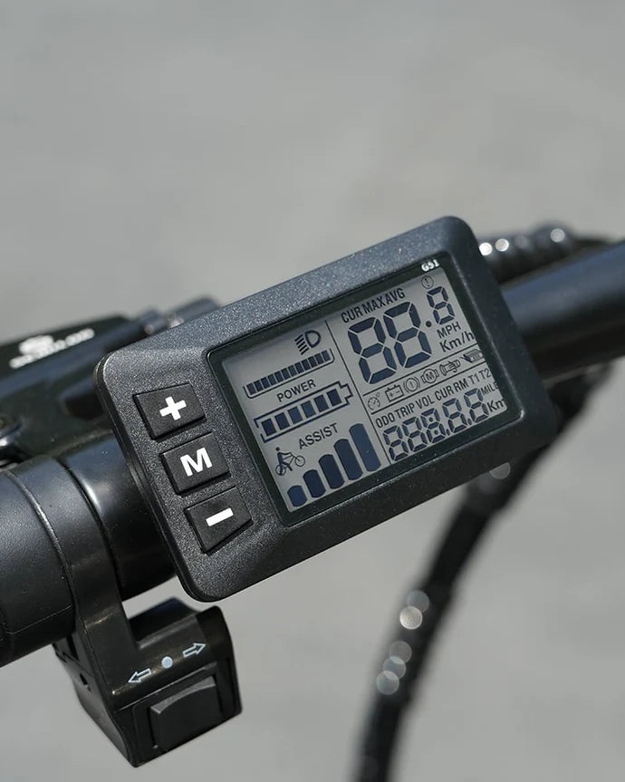 Hidoes F3 Electric Bike 250W 48V 13Ah Hidoes