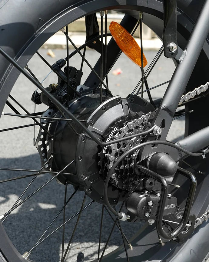 Hidoes F3 Electric Bike 250W 48V 13Ah Hidoes