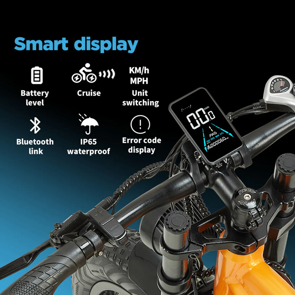 Randride YX80-2 Electric Mountain Bike 48V 20Ah Dual Motor Randride