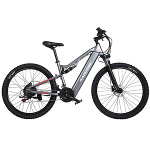 Randride YG90A Electric Mountain Bike