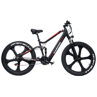 Randride YX90M Electric Bike