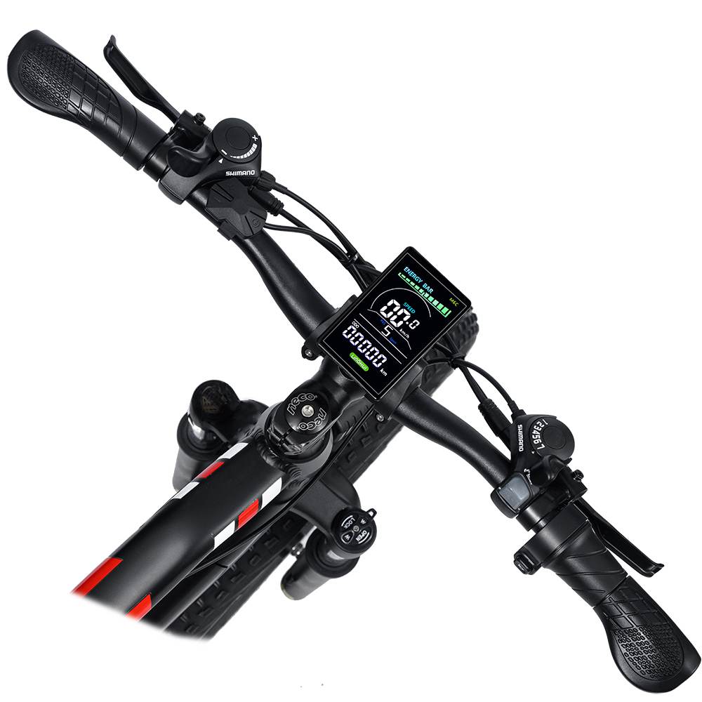 Randride YX90M Electric Bike Randride