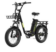 Koolux X7 Electric Bike