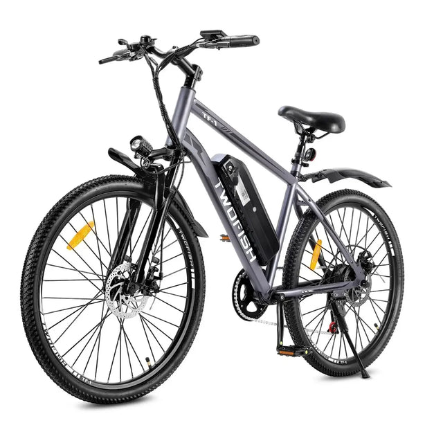 Twofish TF1 Electric Bike