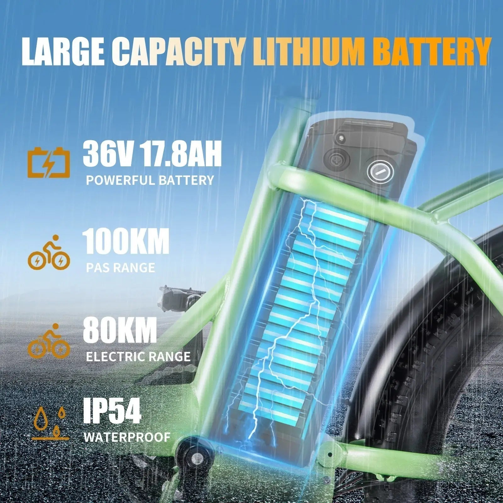 Twofish TF02 Electric Bike 9