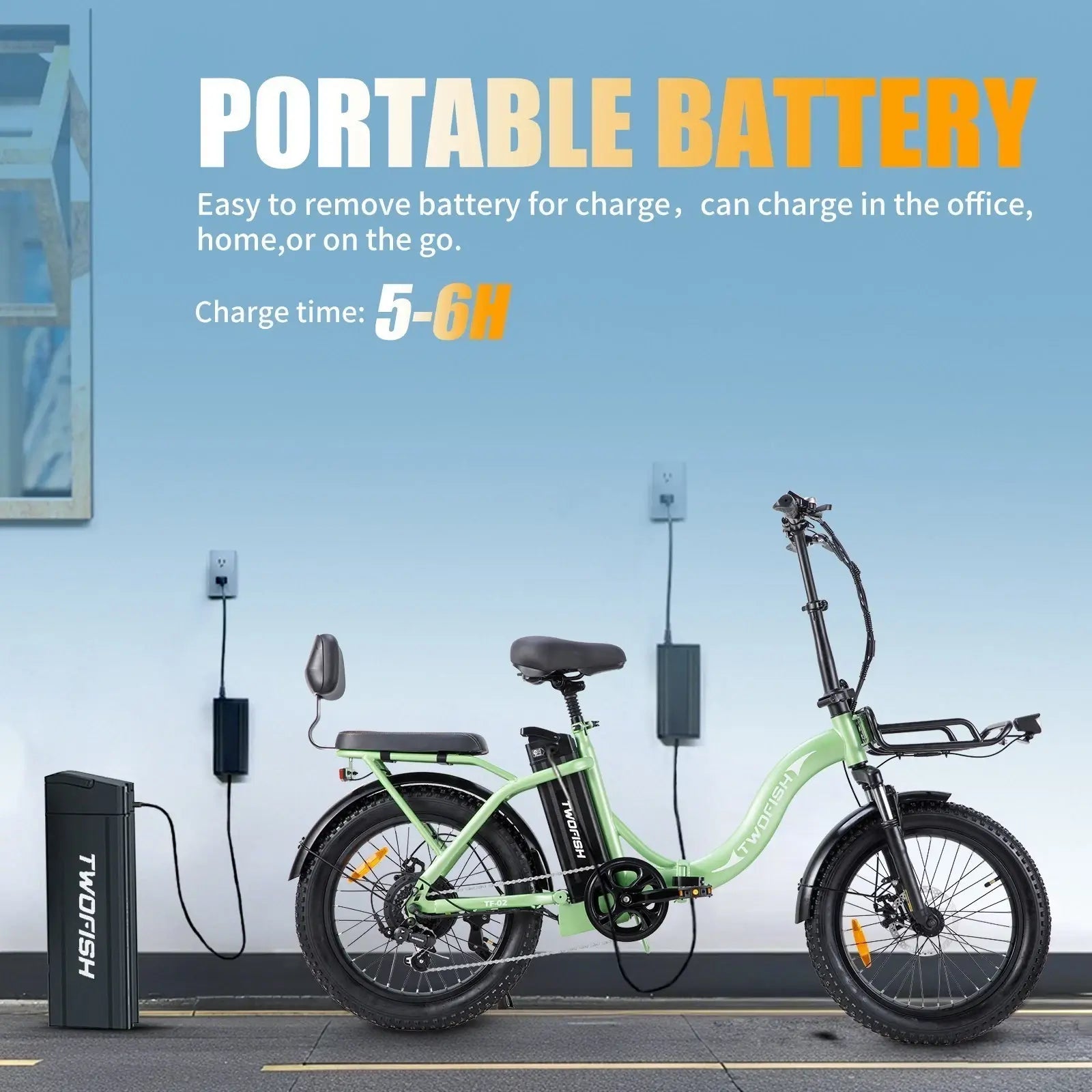 Twofish TF02 Electric Bike 10