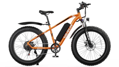 Varun M26 Pro Fat Tire elektrische fiets 250W 48V 15Ah