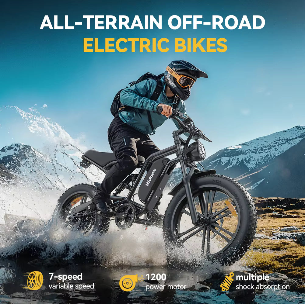 Hidoes B6 Electric Bike - Trail Surge