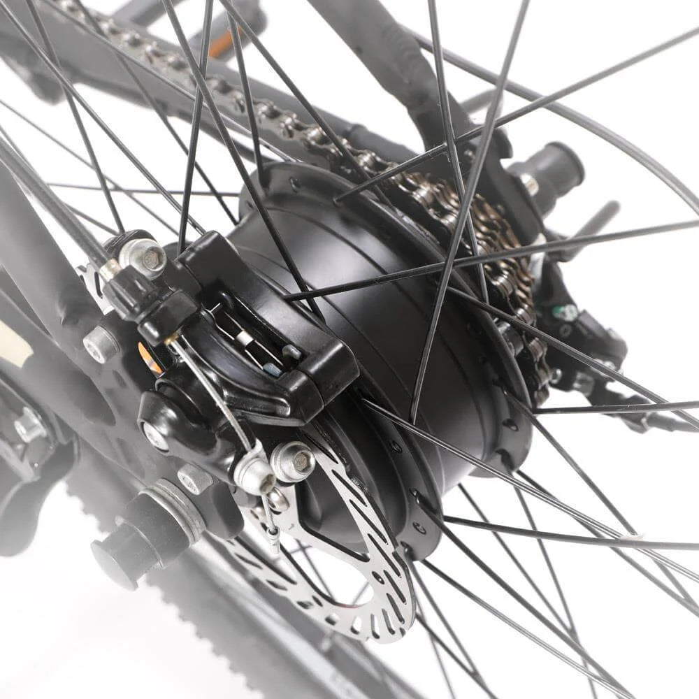 ELEGLIDE M1 Plus Electric Bike 250W 36V 15.6AH Eleglide