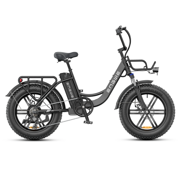 Engwe L20 Boost Electric Bike 250W 48V 13Ah