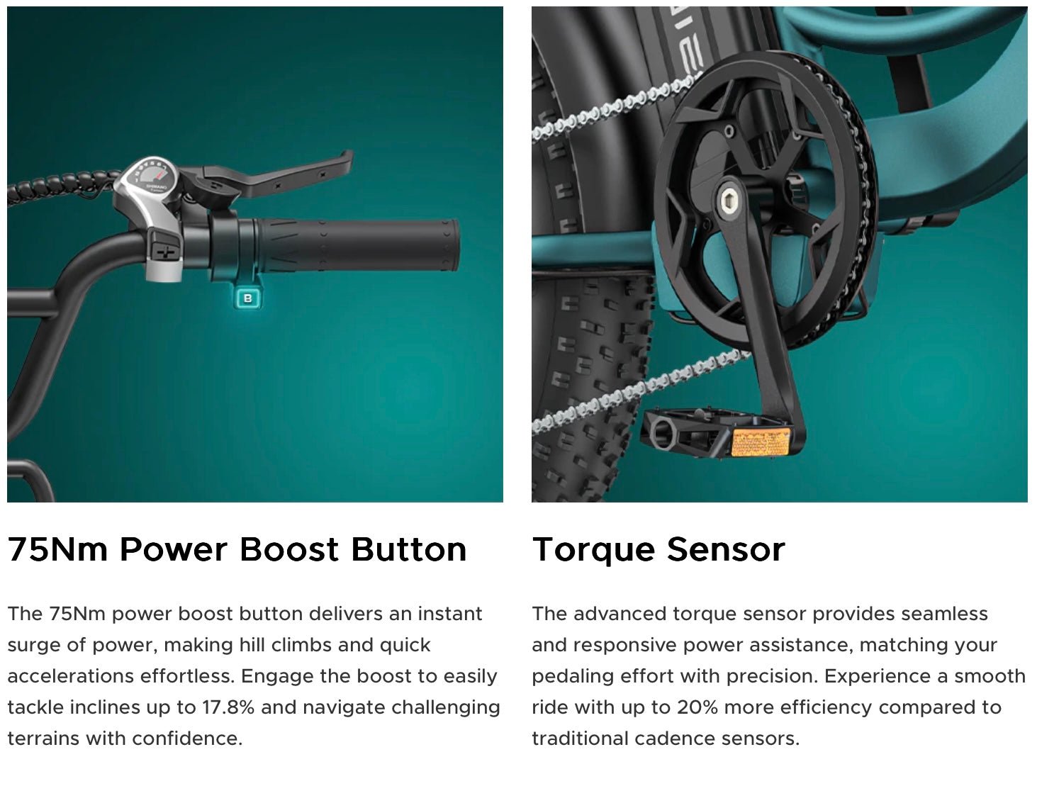 Engwe L20 Boost Electric Bike 250W 48V 13Ah