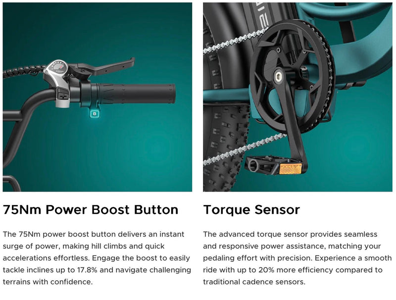 Engwe L20 Boost Electric Bike 250W 48V 13Ah