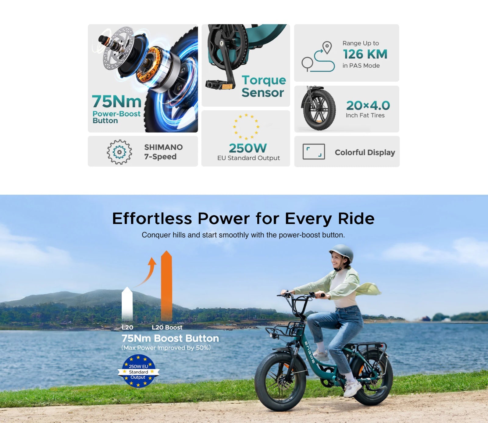 Engwe L20 Boost Electric Bike 250W 48V 13Ah