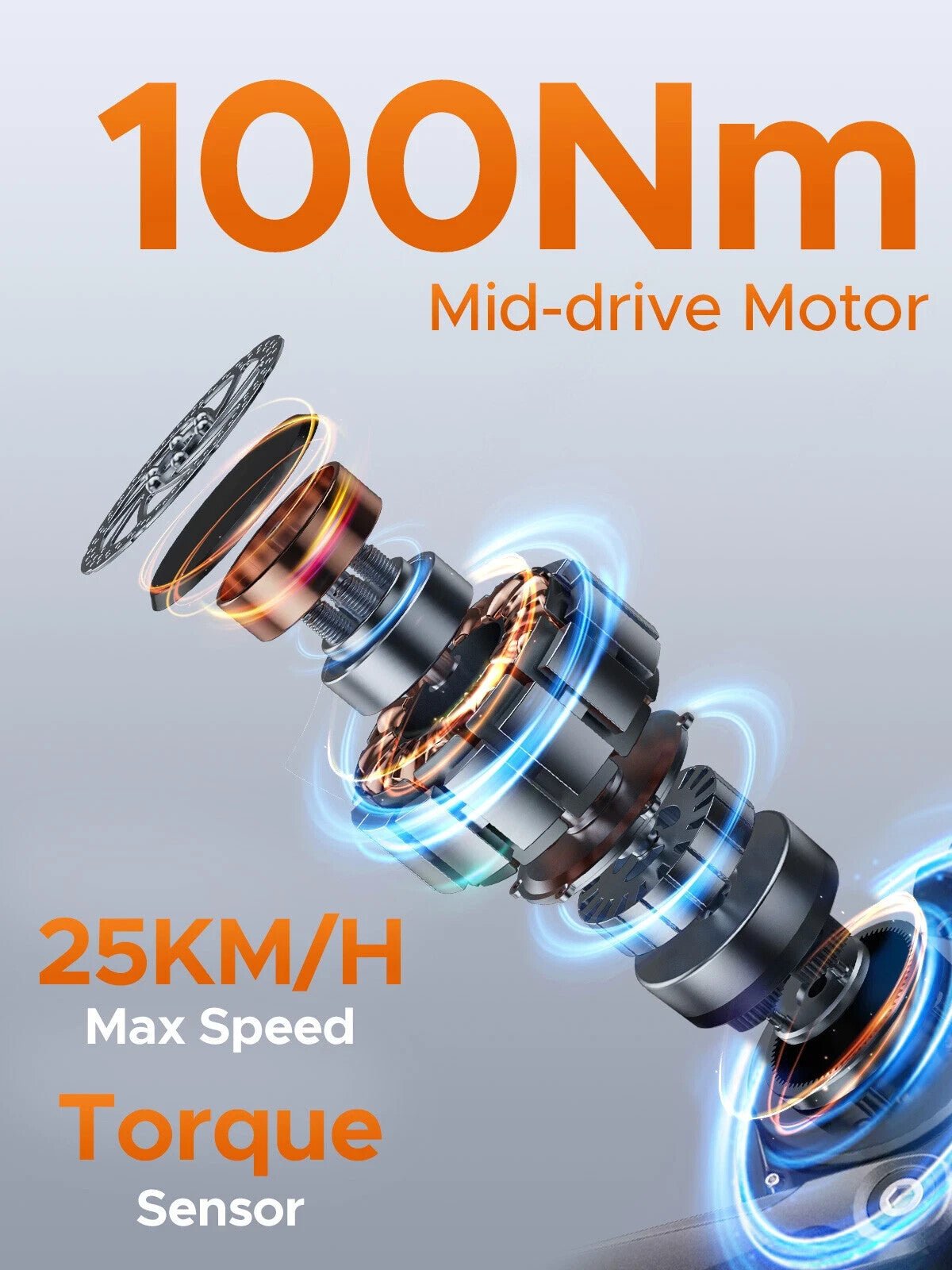 ENGWE LE20 Cargo Electric Bike 250W 100Nm Torque