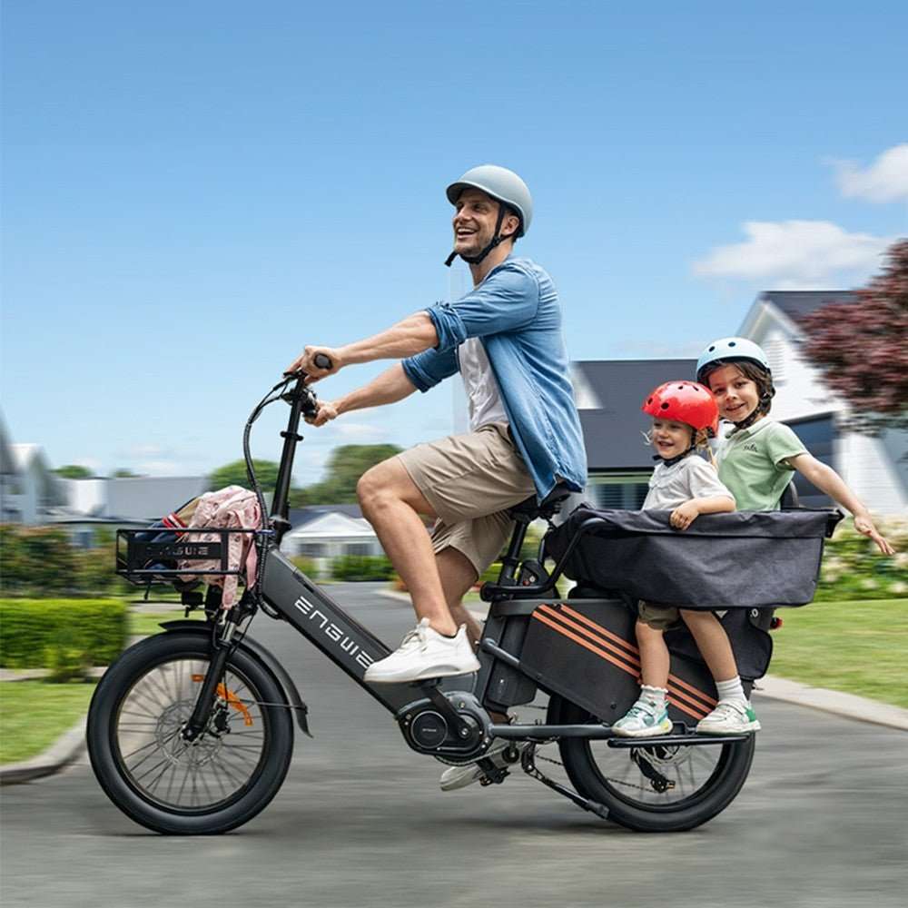 ENGWE LE20 Cargo Electric Bike 250W 100Nm Torque