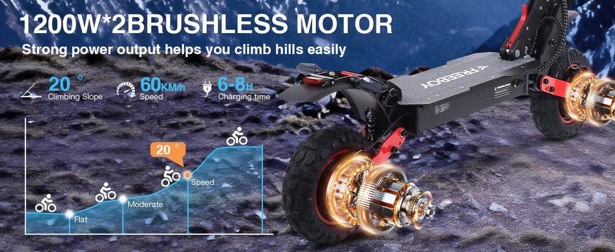Freeboy H6 dual 1200W motor detail