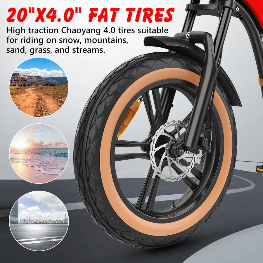 Hidoes B10 20" Fat Tire Electric Bike 1000W 48V 12.5Ah
