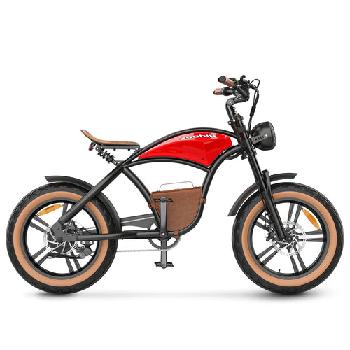 Hidoes B10 20" Fat Tire Electric Bike 1000W 48V 12.5Ah
