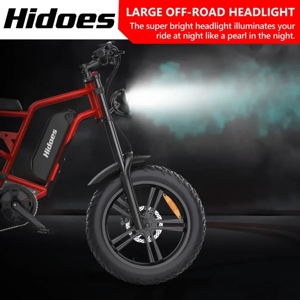 Hidoes B6 20" Fat Tyre Electric Electric Bike 700W 48V 15.6AH