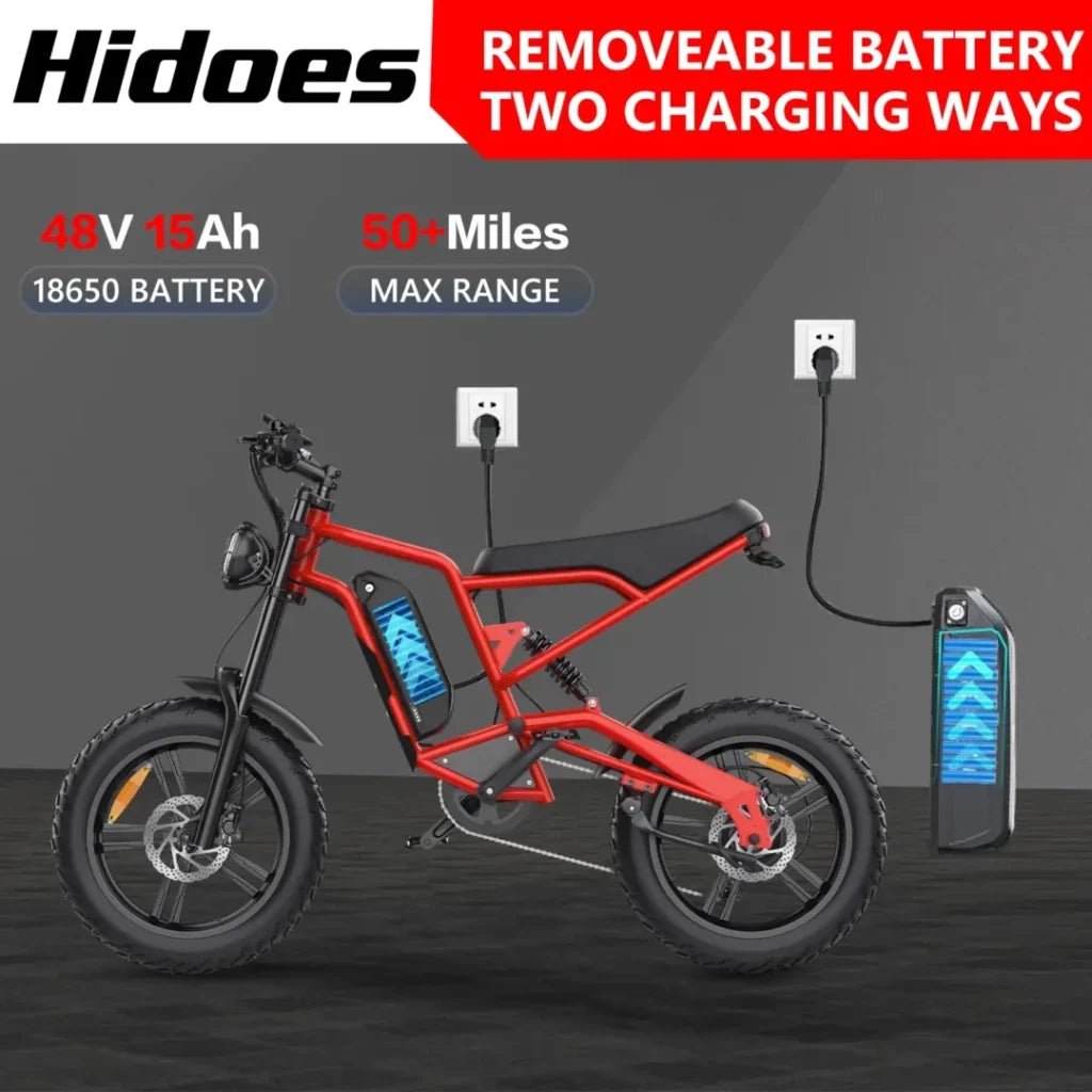 Hidoes B6 20" Fat Tyre Electric Electric Bike 700W 48V 15.6AH