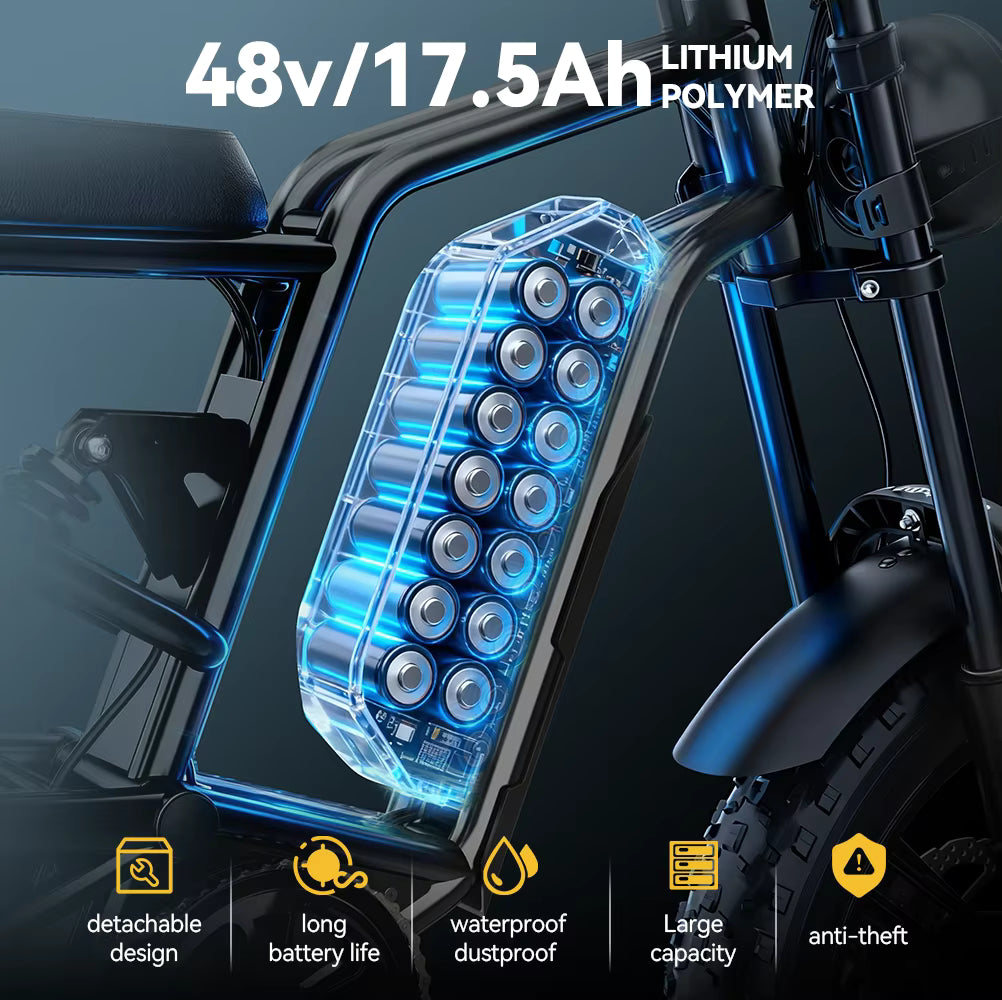 Hidoes B6 Electric Bike – gallery image 14