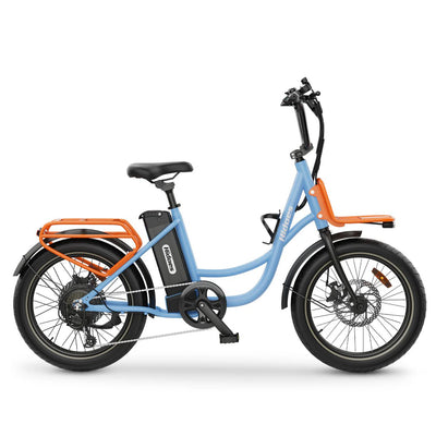 Vélo électrique Hidoes C6 20 pouces 250 W 36 V 13 Ah