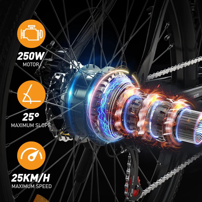 Hitway BK15 Electric Bike 250W 36V 12Ah