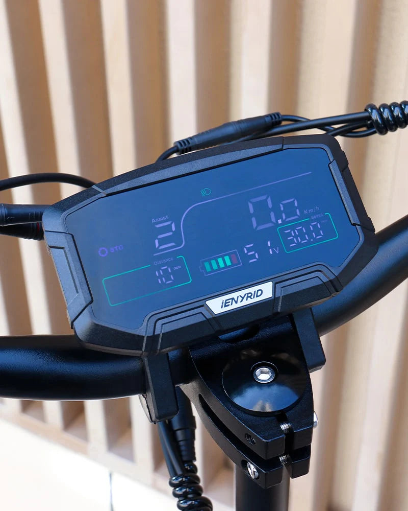 iENYRID S1 Off Road Electric Scooter 700W 48V 15Ah iENYRID