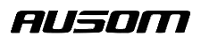 Black bold, italicized text spelling AUSOM in an all-uppercase, modern font on a white background.