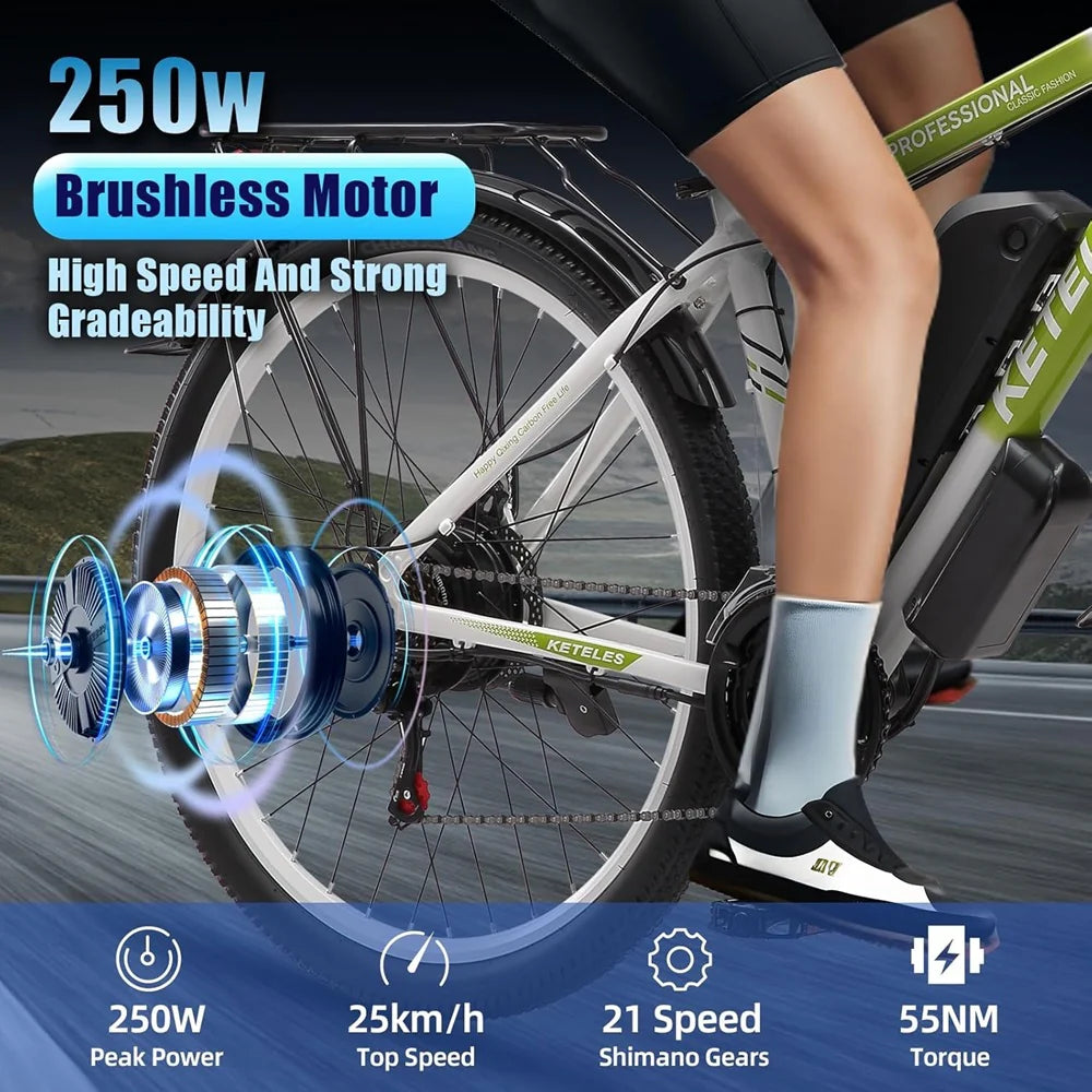 KETELES K820 Pro Electric Bike 250W 48V 17.5AH KETELES