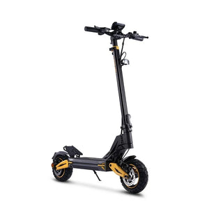 Twofish V2 Max Electric Scooter